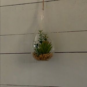 Plant ornament